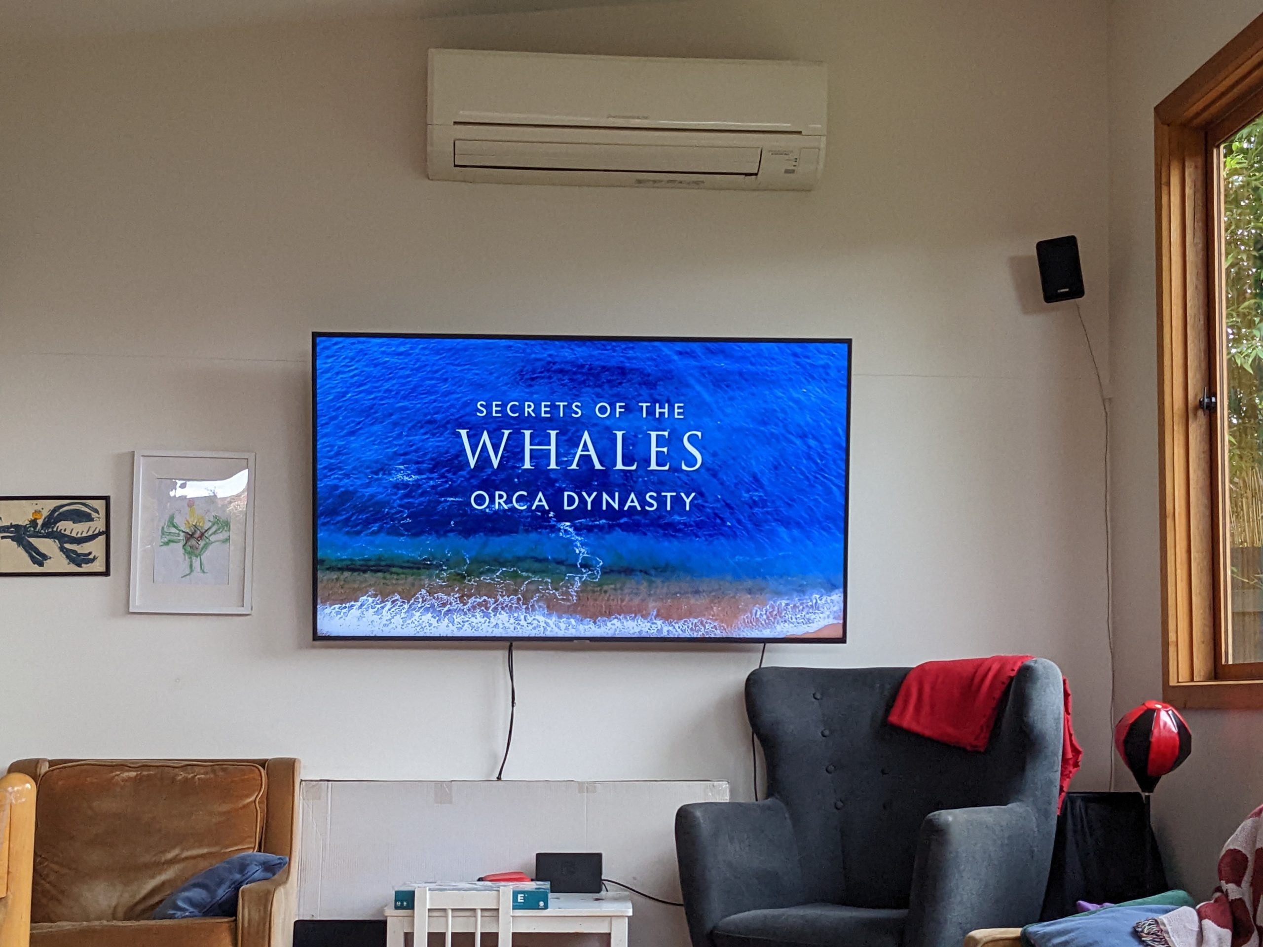 You are currently viewing More whales